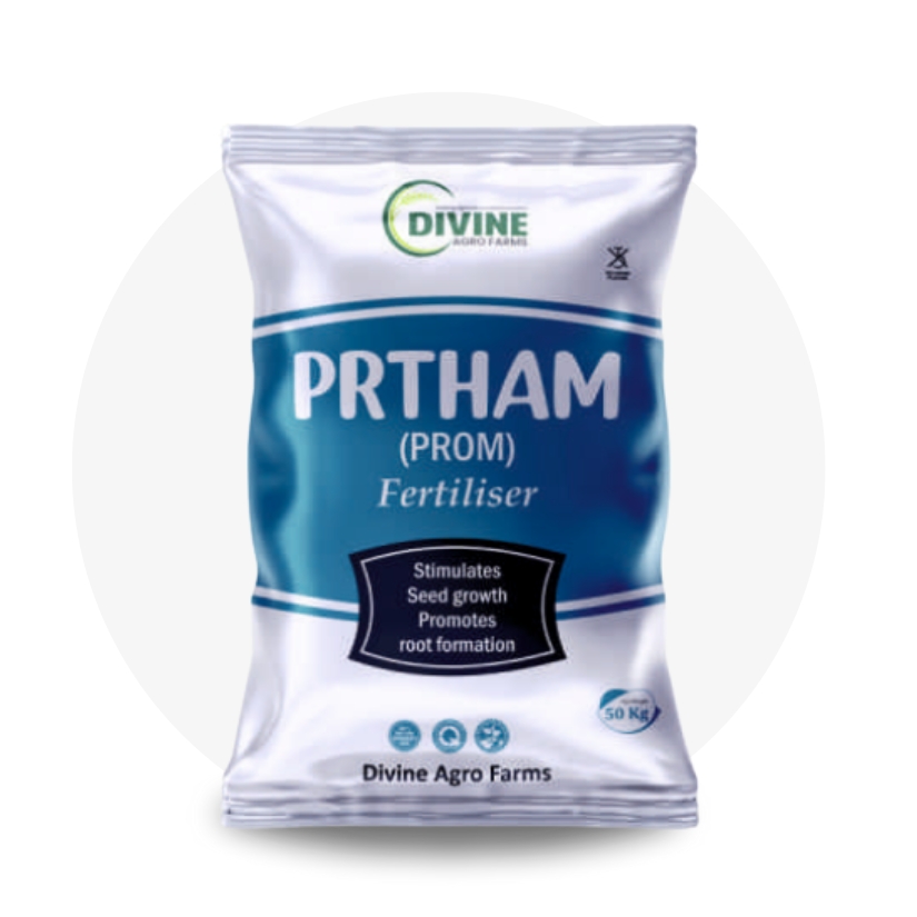 Prtham Prom